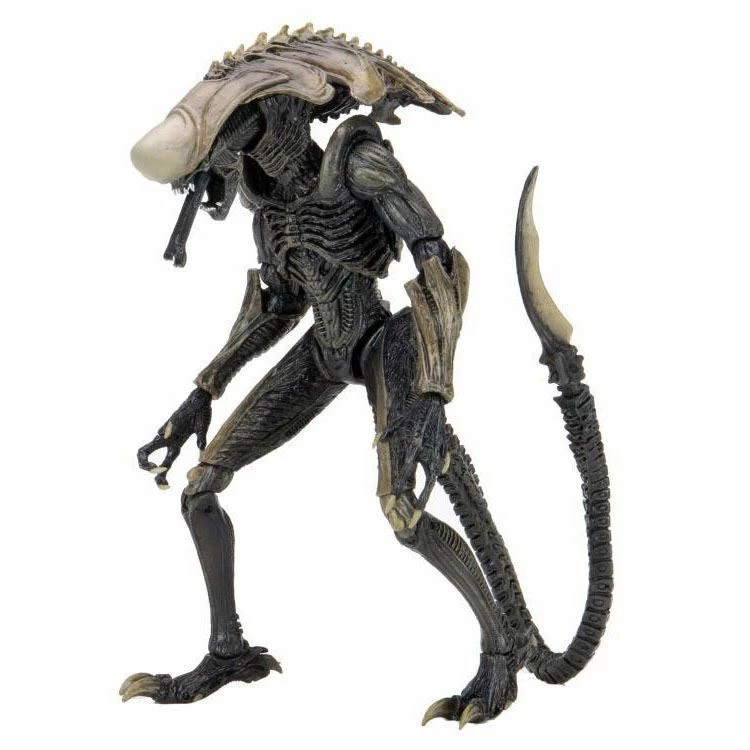 Alien Vs. Predator Chrysalis (Movie Deco) Action Figure Toys & Figures