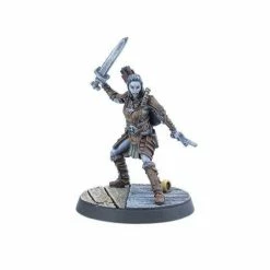 The Elder Scrolls: Call To Arms - Adventurer Followers Gaming