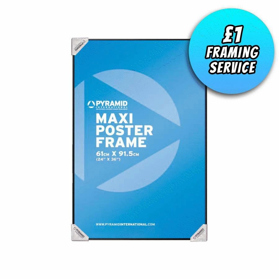 Geek-Aboo Home & Gifts Maxi Poster Frame (61x91.5cm) + Framing Service (Β£1 Extra)