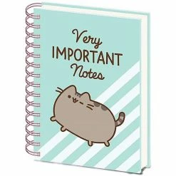 Home & Gifts PUSHEEN (VERY IMPORTANT NOTES)