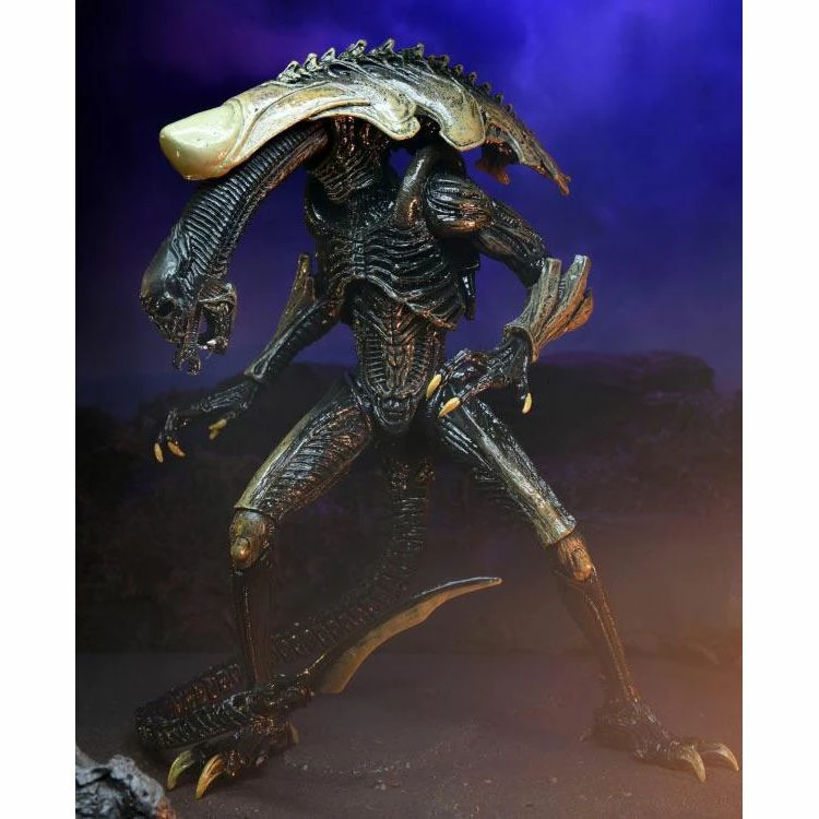 Alien Vs. Predator Chrysalis (Movie Deco) Action Figure Toys & Figures