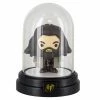 Harry Potter - Hagrid Mini Bell Jar Light Film & TV