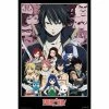 Fairy Tail Group Maxi Poster