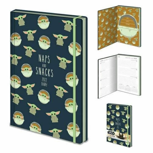 Film & TV The Mandalorian 2022 Diary