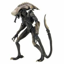 Alien Vs. Predator Chrysalis (Movie Deco) Action Figure Toys & Figures