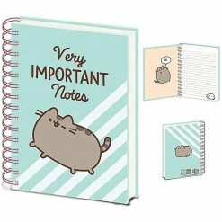 Home & Gifts PUSHEEN (VERY IMPORTANT NOTES)
