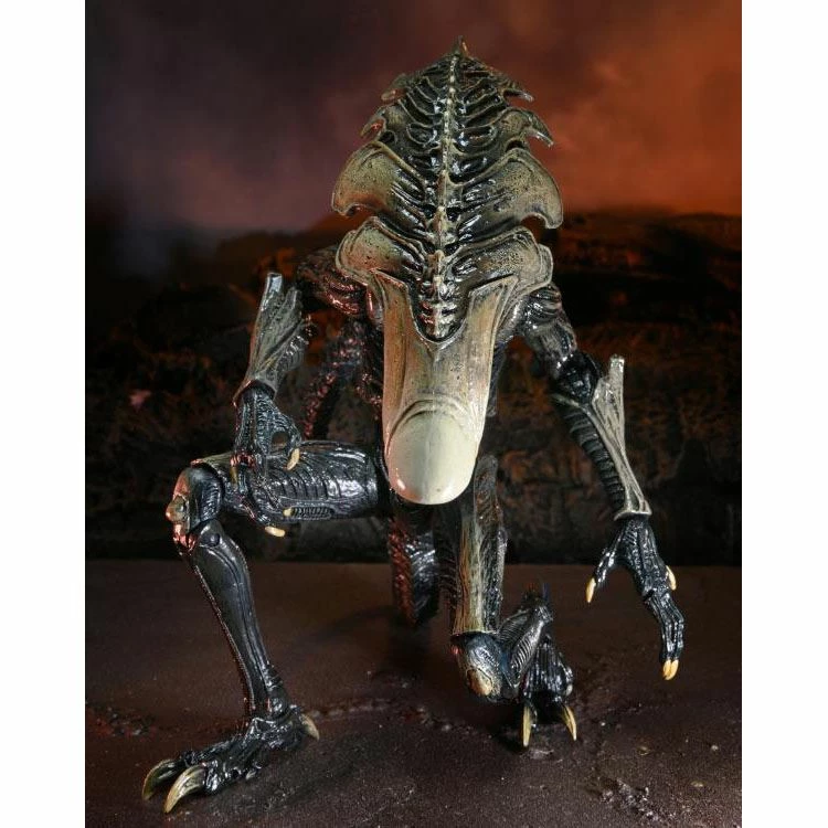 Alien Vs. Predator Chrysalis (Movie Deco) Action Figure Toys & Figures