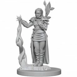 Dungeons & Dragons: Icons Of The Realms - Human Female Druid Miniature Tabletop