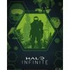 Gaming Halo Infinite: Master Chief Hex Mini Poster