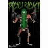 Film & TV Rick And Morty Pickle Rick 15