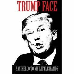 Home & Gifts Trump Face Poster