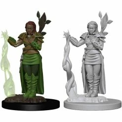 Dungeons & Dragons: Icons Of The Realms - Human Female Druid Miniature Tabletop