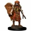 Dungeons & Dragons: Icons Of The Realms - Human Druid Male Miniature