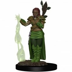 Dungeons & Dragons: Icons Of The Realms - Human Female Druid Miniature Tabletop