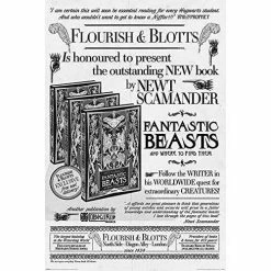 Harry Potter Fantastic Beasts Flourish & Blotts Maxi Poster 27