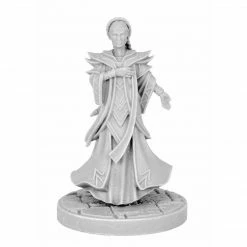 Dungeons & Dragons D&D Collector's Edition: Waterdeep Dragon Heist - Laerial Silverhand