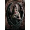 Anne Stokes - Angel Rose Maxi Poster 11 Home & Gifts