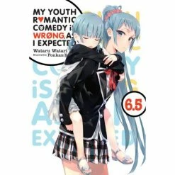 My Youth Romantic Comedy Is Wrong, As I Expected Youth Romantic Comedy Vol 6.5 Light Novels