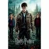 Harry Potter 7 Part 2 One Sheet Maxi Poster Film & TV