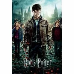 Harry Potter 7 Part 2 One Sheet Maxi Poster Film & TV